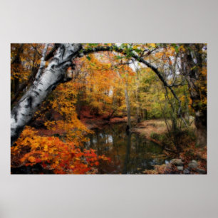 Poster Automne Aux Sources Petrifiantes