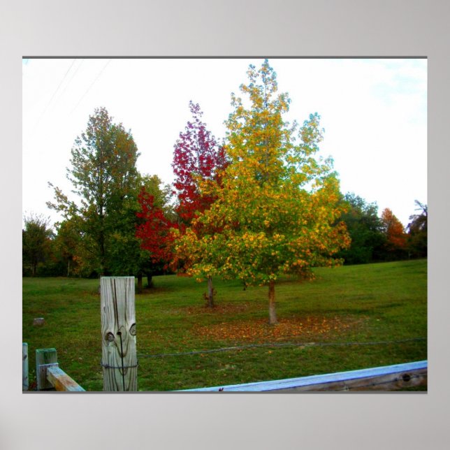 Poster Automne dans le Missouri (Devant)