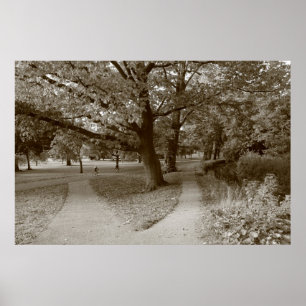 Poster Automne dans le parc - Sepia Toned BW