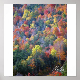 Poster Automne dans les Adirondacks
