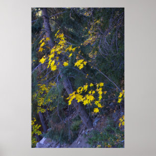Poster Automne dans les montagnes 4