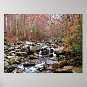 Poster Automne dans les Smokies