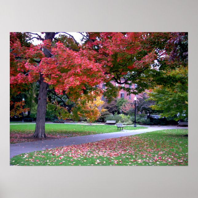 Poster Automne du jardin public (Devant)