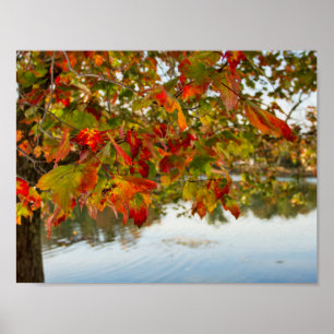 Poster Automne Feuille