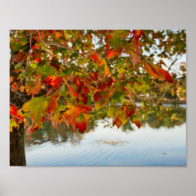 Poster Automne Feuille (Devant)