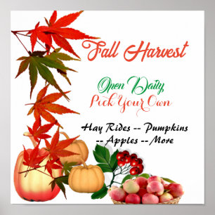 Poster Automne Harvest Choisissez votre propre Citrouille