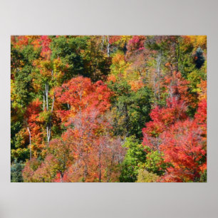 Poster Automne Hillside Colorful Automne Nature Photograp
