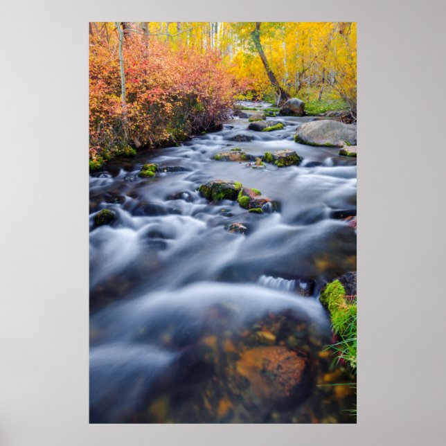 Poster Automne le long de Lundy Creek, Californie (Devant)
