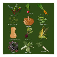 Automne Légume automne récolte de légumes