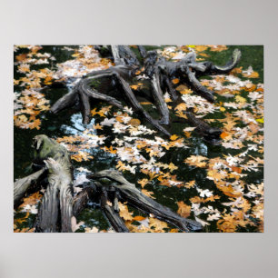 Poster Automne Otter Pond Feuille