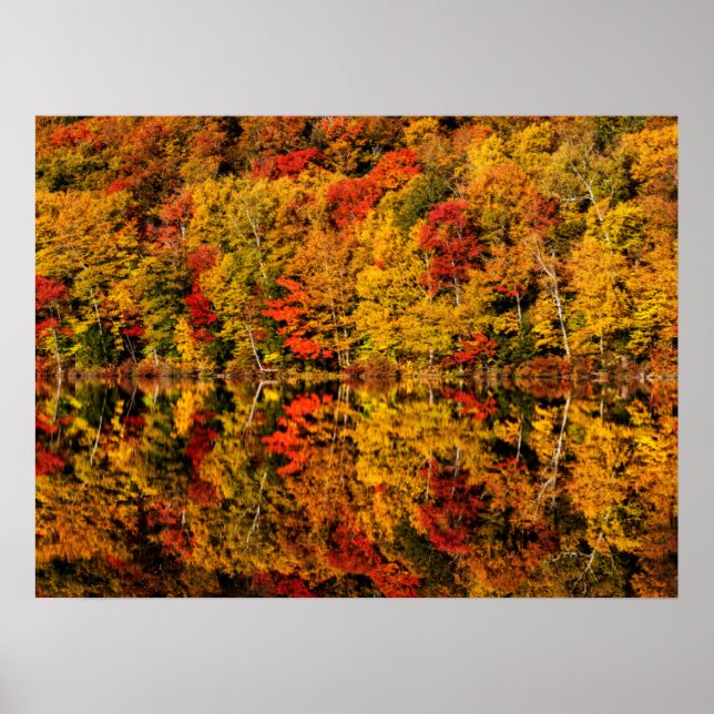 Poster Automne Réflexion sur Russell Pond | New Hampshire (Devant)