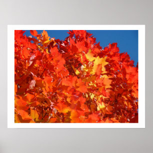 Poster Automne rouge orange jaune Feuilles d'art estampes