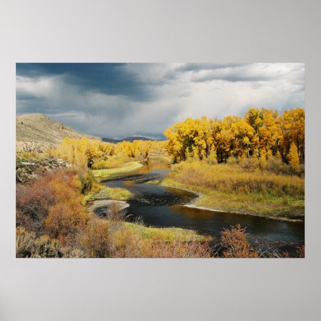 Poster Automne sur la rivière Gunnison, Colorado (Devant)