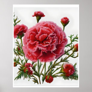 Poster Autonomisation par l'énergie carnation