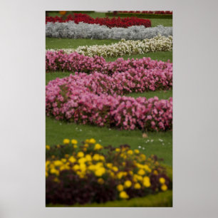 Poster Autriche, Vienne. Le baroque de Maria Theresa