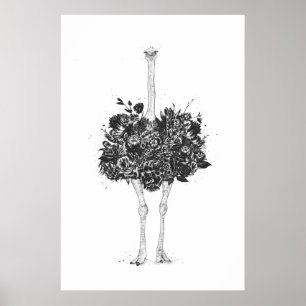 Poster Autruche fleurie