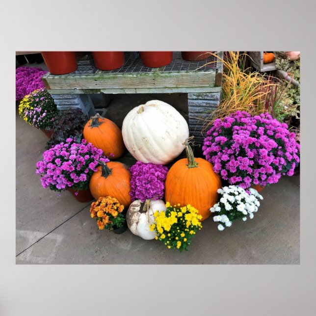 Poster Autumn Decor (Devant)