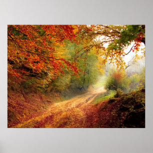 Poster Autumn Forest Track