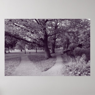 Poster Autumn in the Park - Purple Toned BW