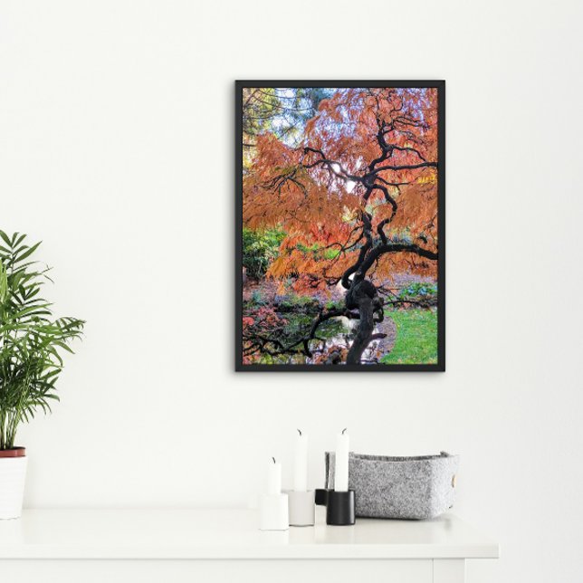 Poster Autumn Laceleaf Japanese Maple Tree Botanical (In Situ)