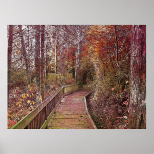 Poster Autumn Walk