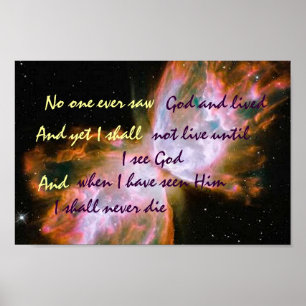 Poster aux papillons