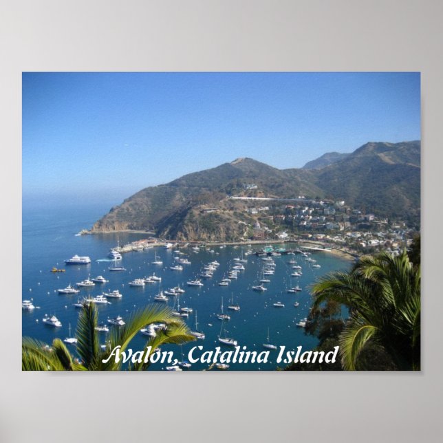 Poster Avalon, île de Catalina (Devant)