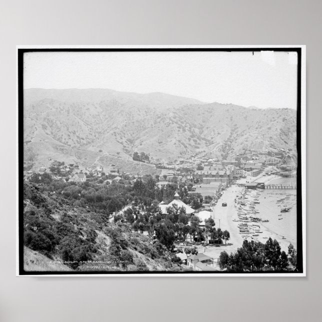 Poster Avalon, Père Noël Catalina Island c1903 (Devant)