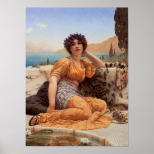 Poster Avec des violettes courbées et la robe de teinte s