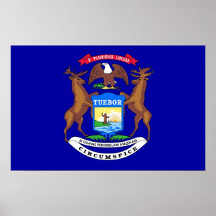 Poster avec Drapeau du Michigan, États-Unis