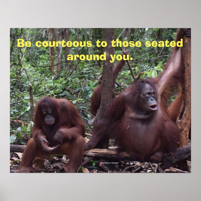 Poster Avec l'aimable autorisation de la salle de classe (Devant)