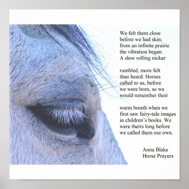 Poster avec un cheval et poème d'Anna Blake. (Devant)