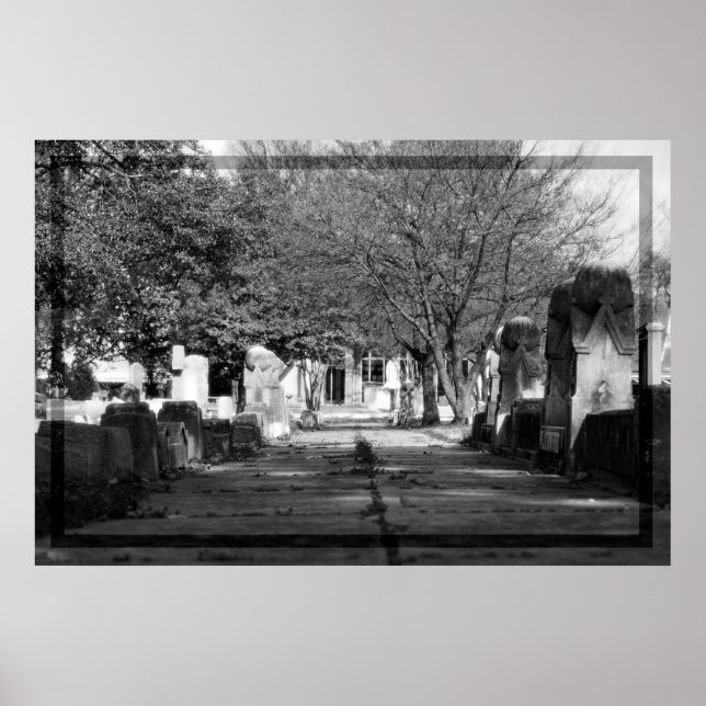 Poster Avenue (Devant)