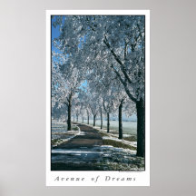 Avenue des rêves