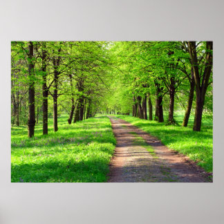 Poster avenue du printemps
