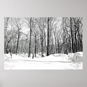 Poster Aveuglé par la neige