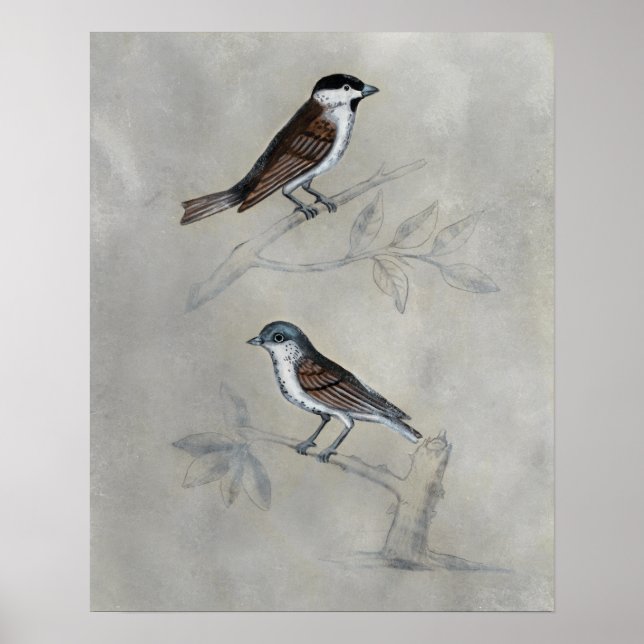 Poster Aviaire argenté | Une paire d'oiseaux (Devant)