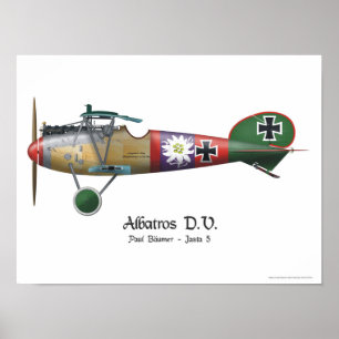 Poster Avion de combat allemand Bäumer d'Albatros D.V.