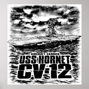 Poster Avion Hornet