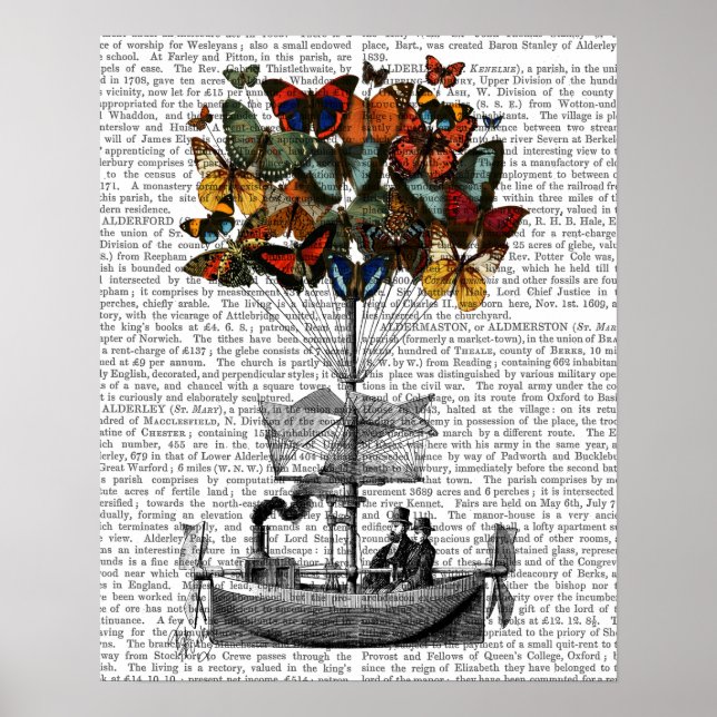 Poster Avion papillon (Devant)