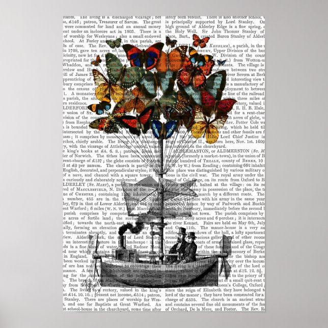 Poster Avion papillon (Devant)