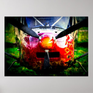 Poster Avion rouge - Petit Mais Fierté