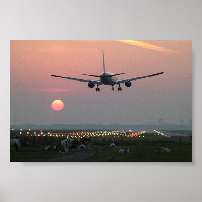 Poster Avions et vaches (Devant)