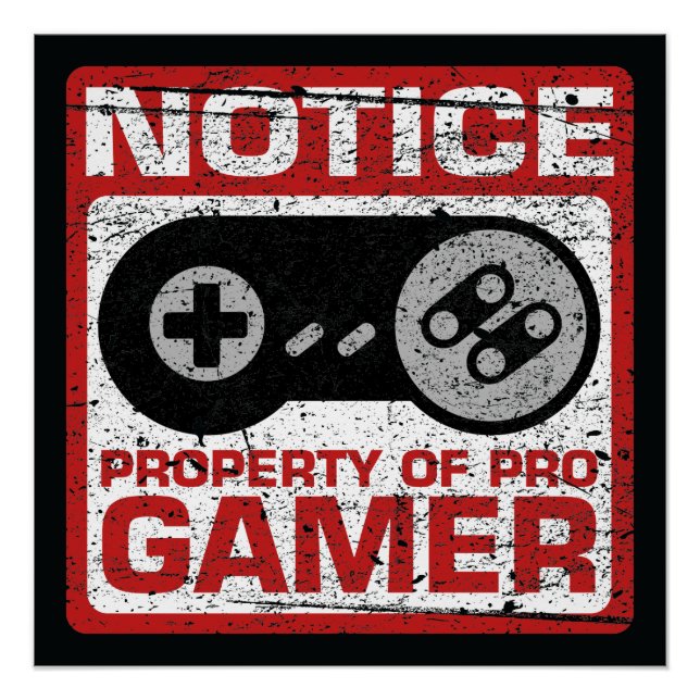 Poster Avis Propriété De Pro Gamer (Devant)