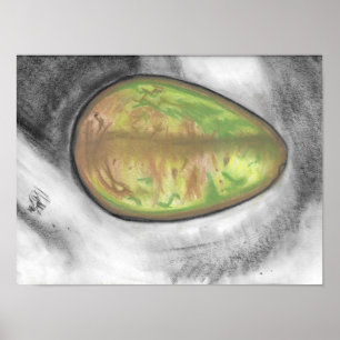 Poster Avocado - huile pastel encore vie toile-