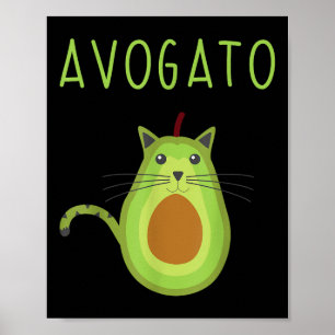 Poster Avogato Cinco De Mayo Don Cinco De Meow Cat Avoca