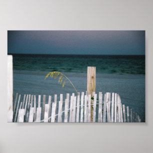 Poster avoine de mer