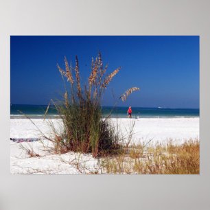 Poster Avoine de mer, plage,