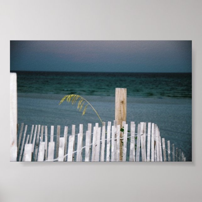 Poster avoine marine (Devant)