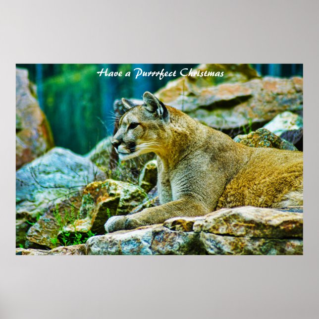 Poster Avoir un Noël parfait (Devant)